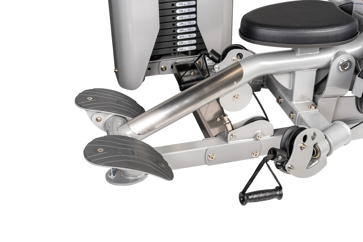 Biceps Curl - Image 5