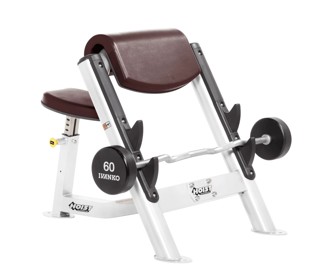 Commercial Preacher Curl - Image 29