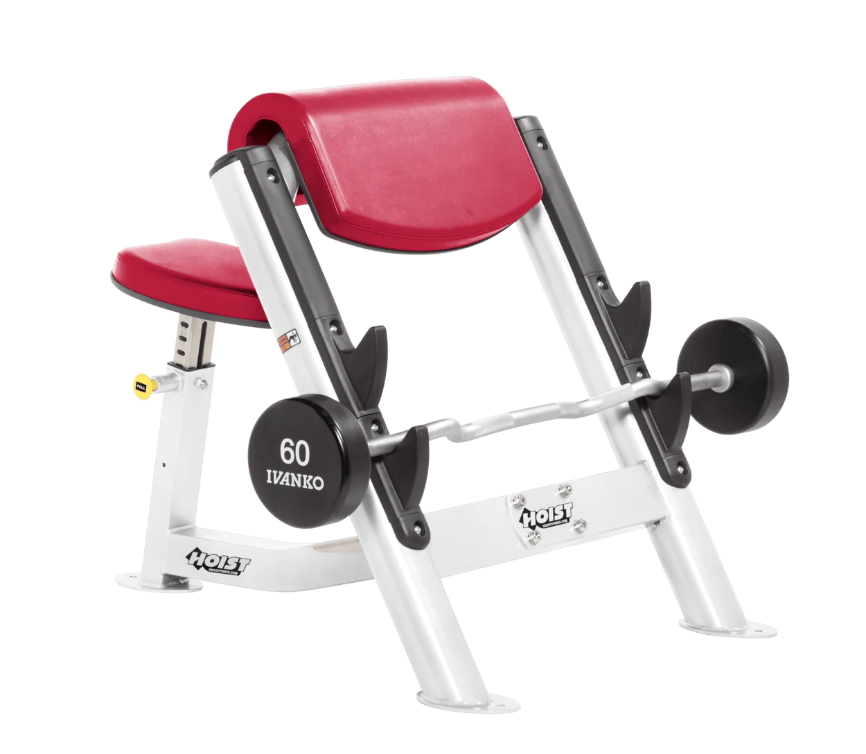 Commercial Preacher Curl - Image 30