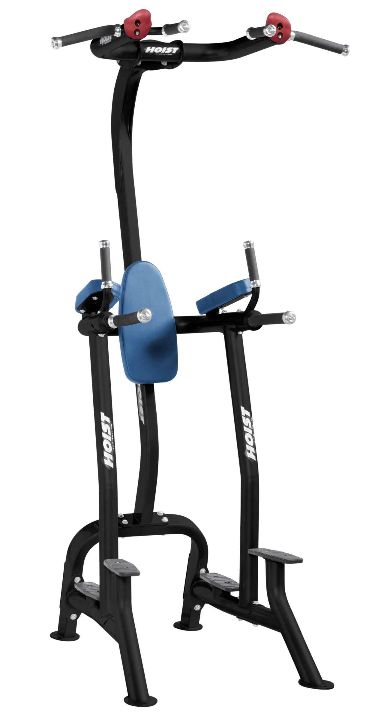 Fitness Tree - Image 10