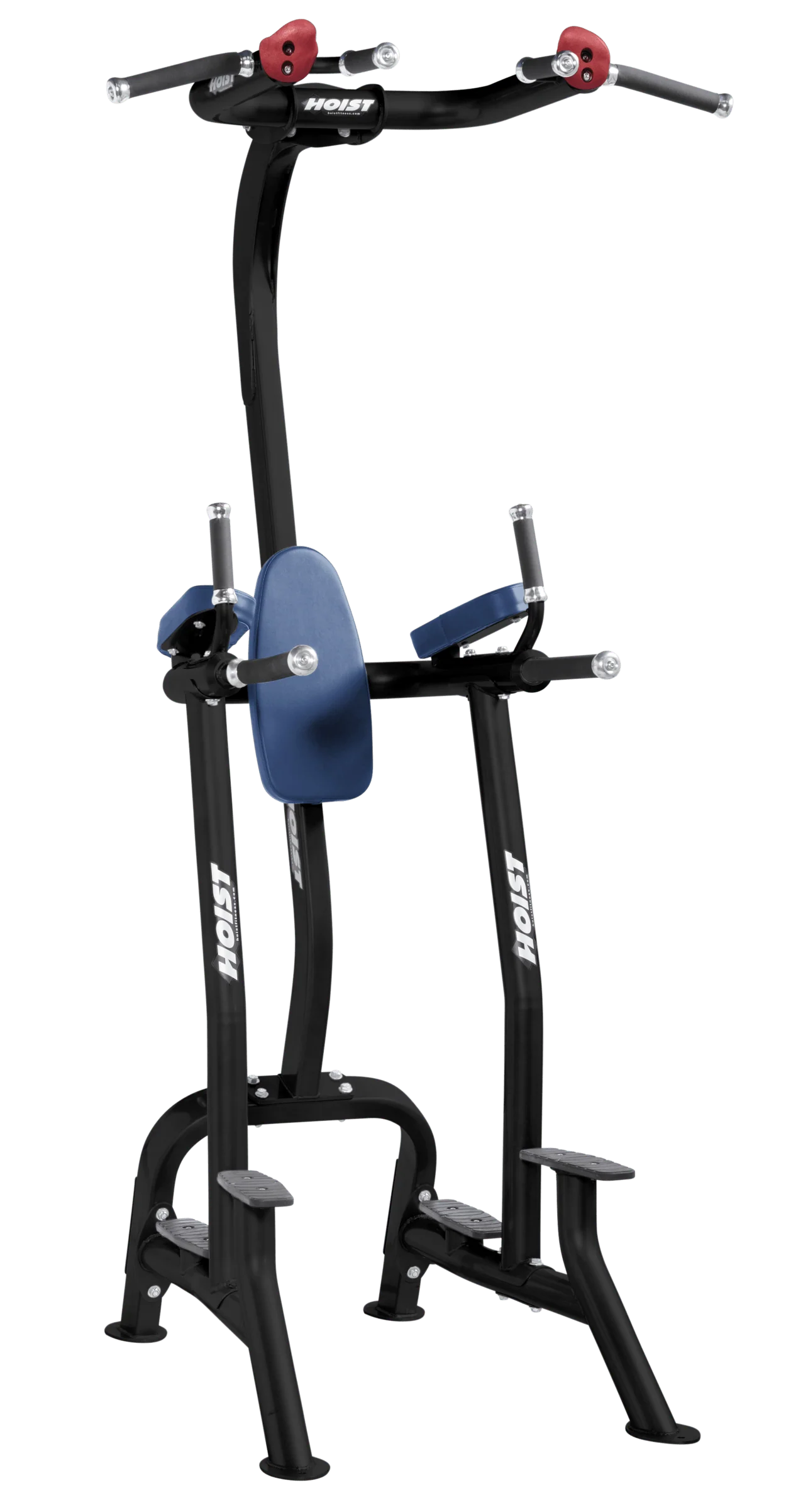 Fitness Tree - Image 11