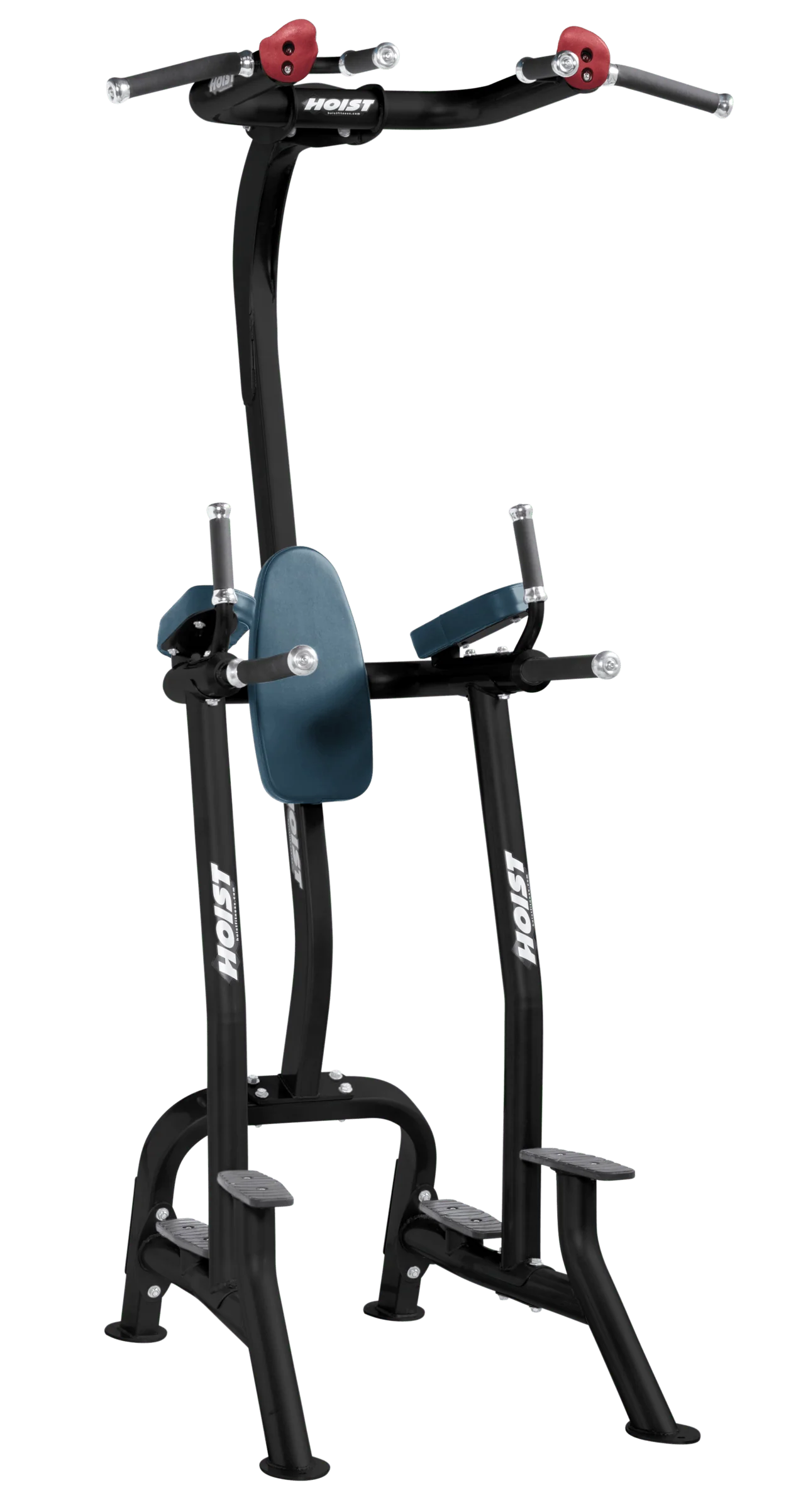 Fitness Tree - Image 12