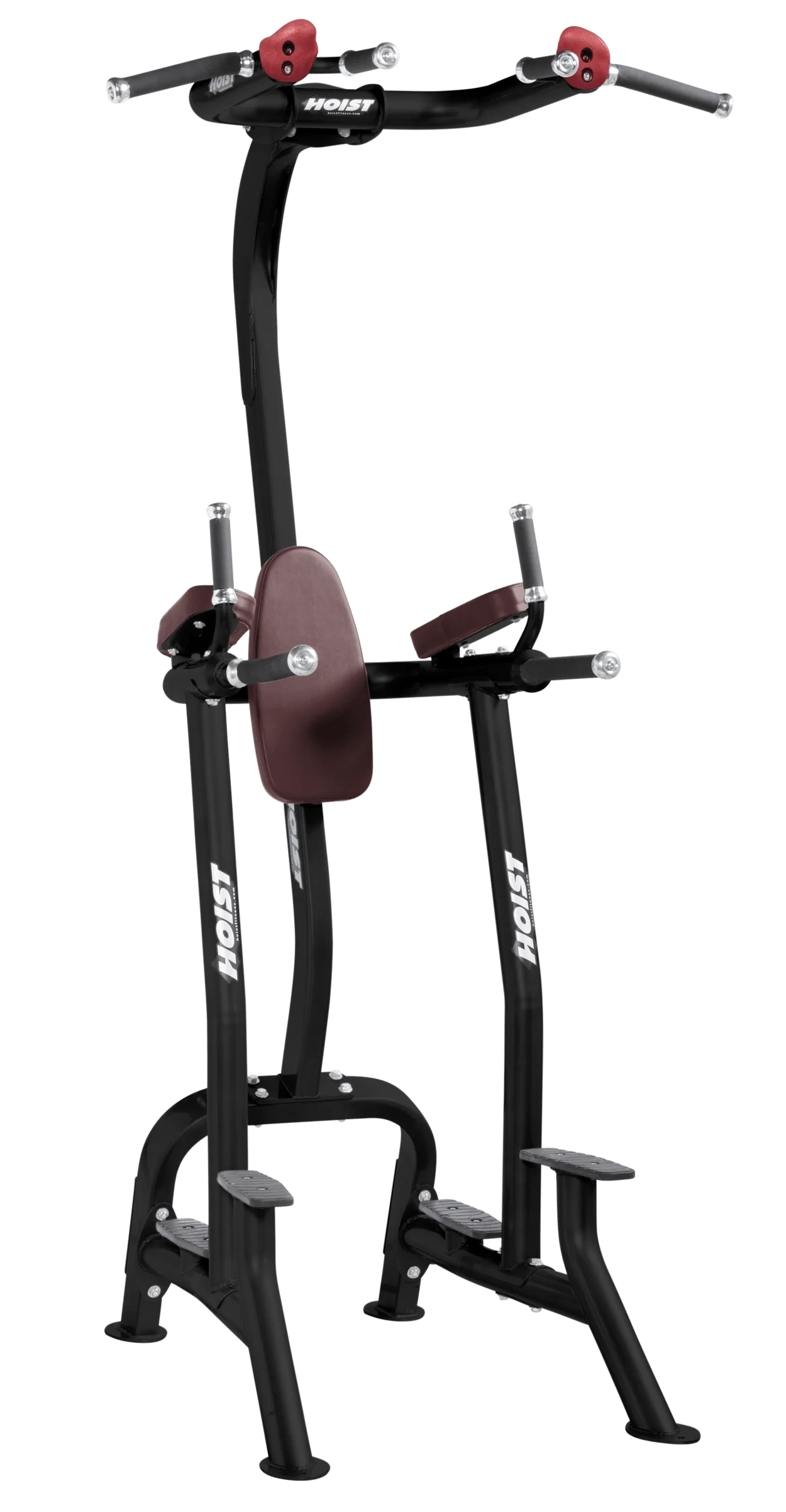 Fitness Tree - Image 6