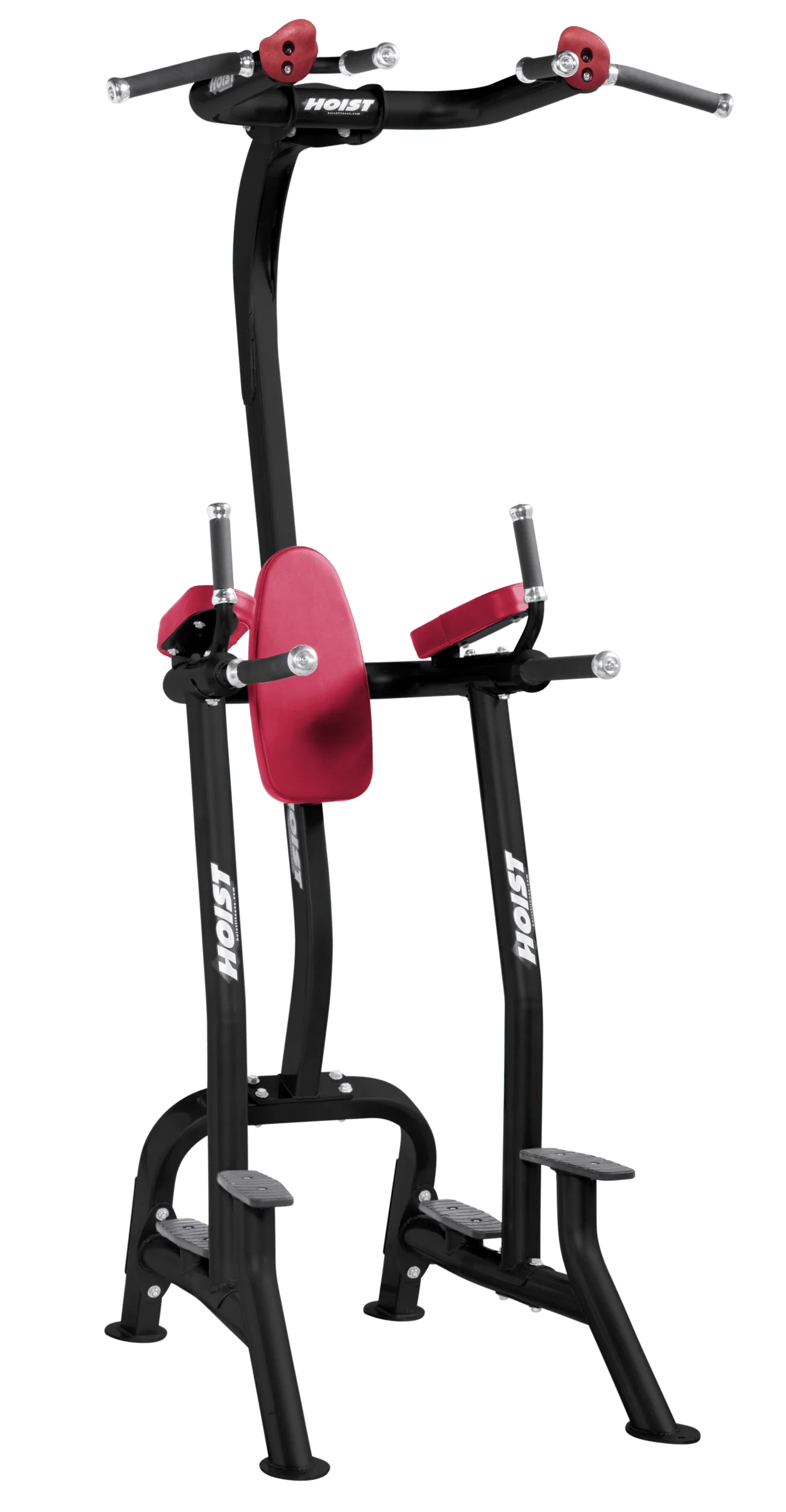 Fitness Tree - Image 7