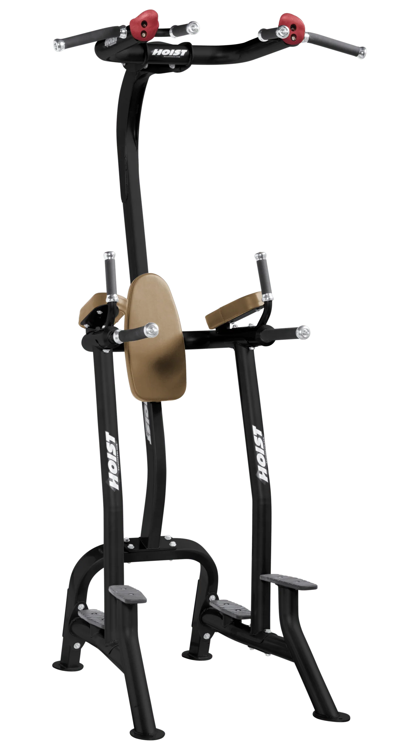 Fitness Tree - Image 8