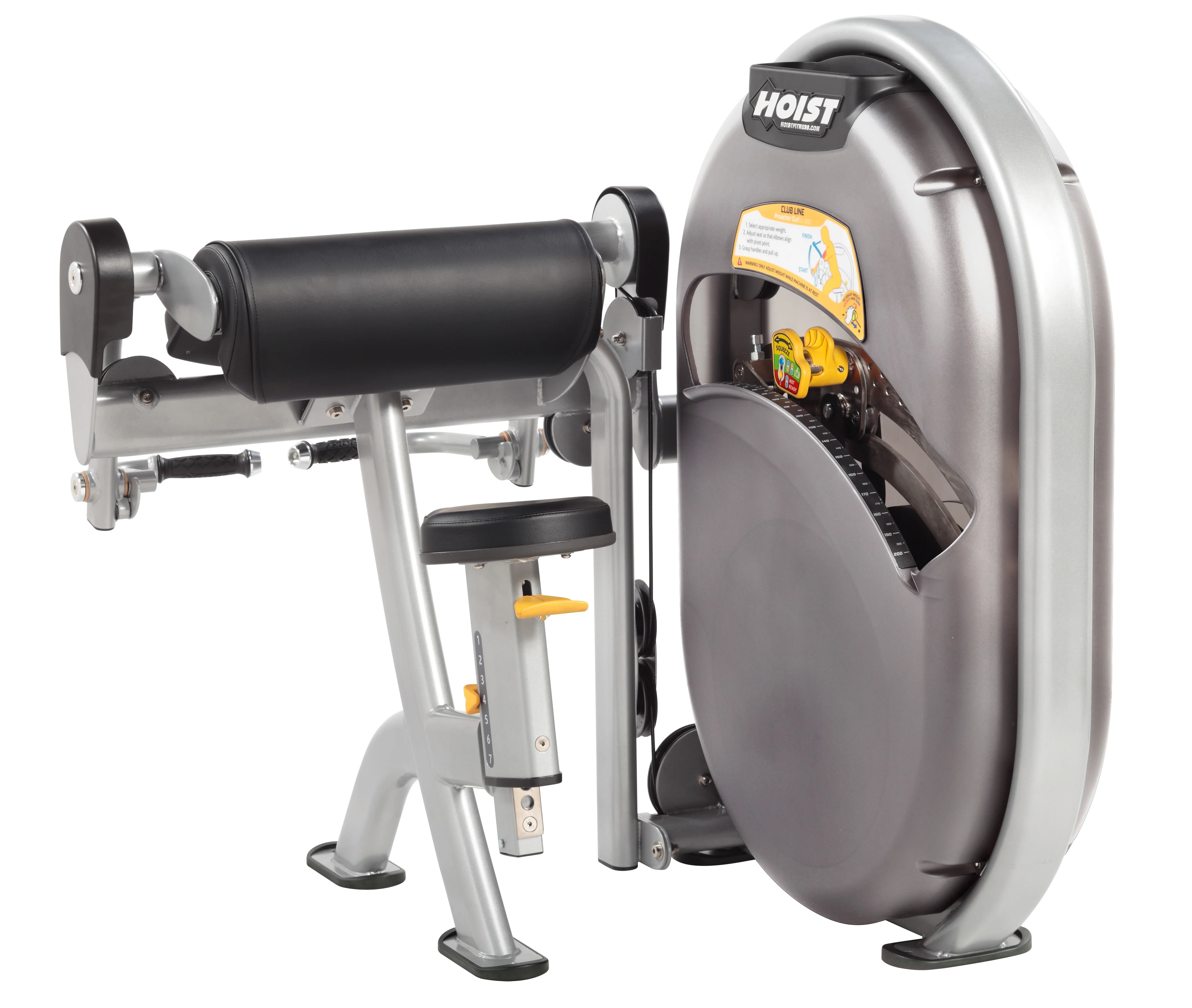 Biceps Curl - Image 5