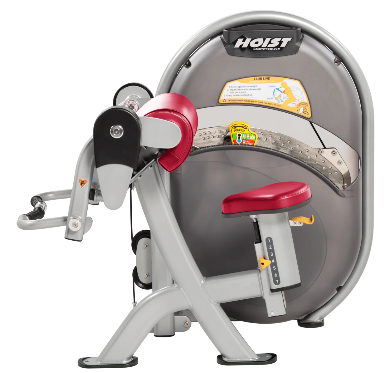 Biceps Curl - Image 60