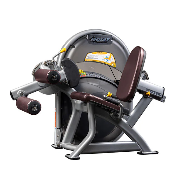 Leg Curl - Image 11