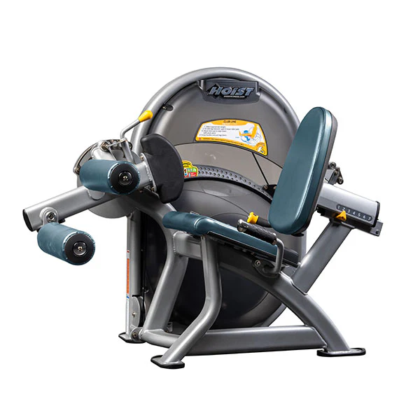 Leg Curl - Image 14