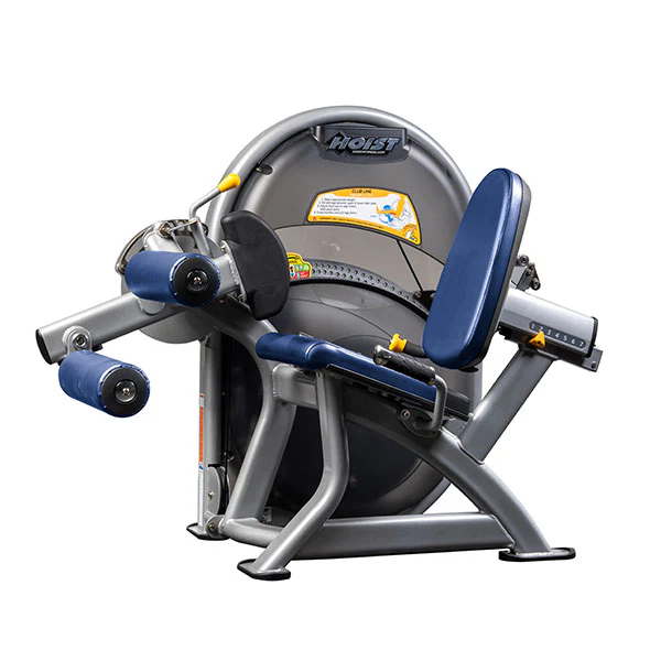 Leg Curl - Image 16
