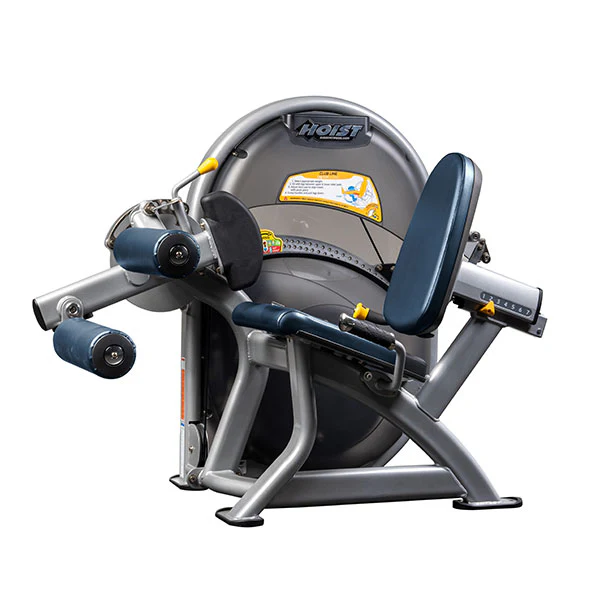 Leg Curl - Image 17