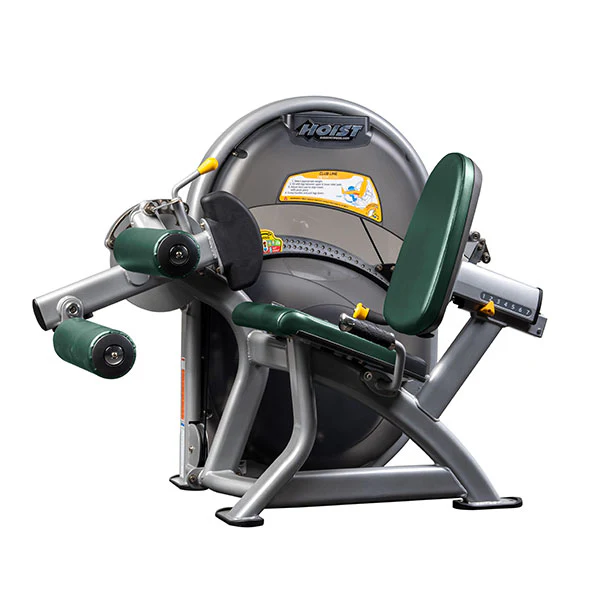 Leg Curl - Image 18