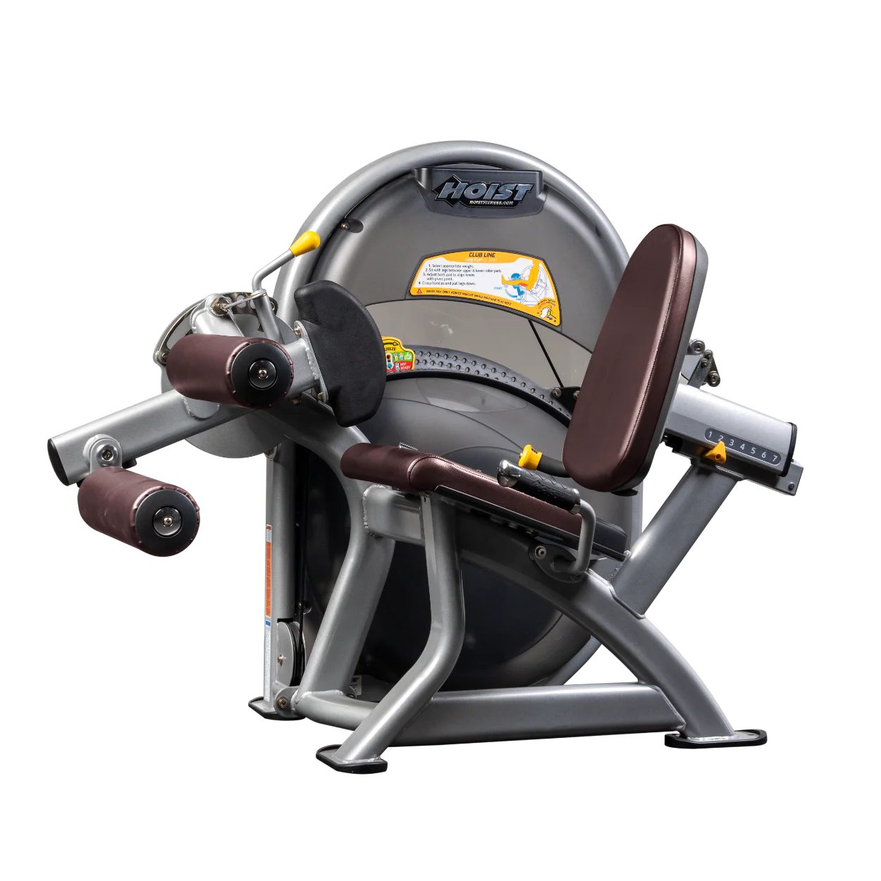 Leg Curl - Image 33