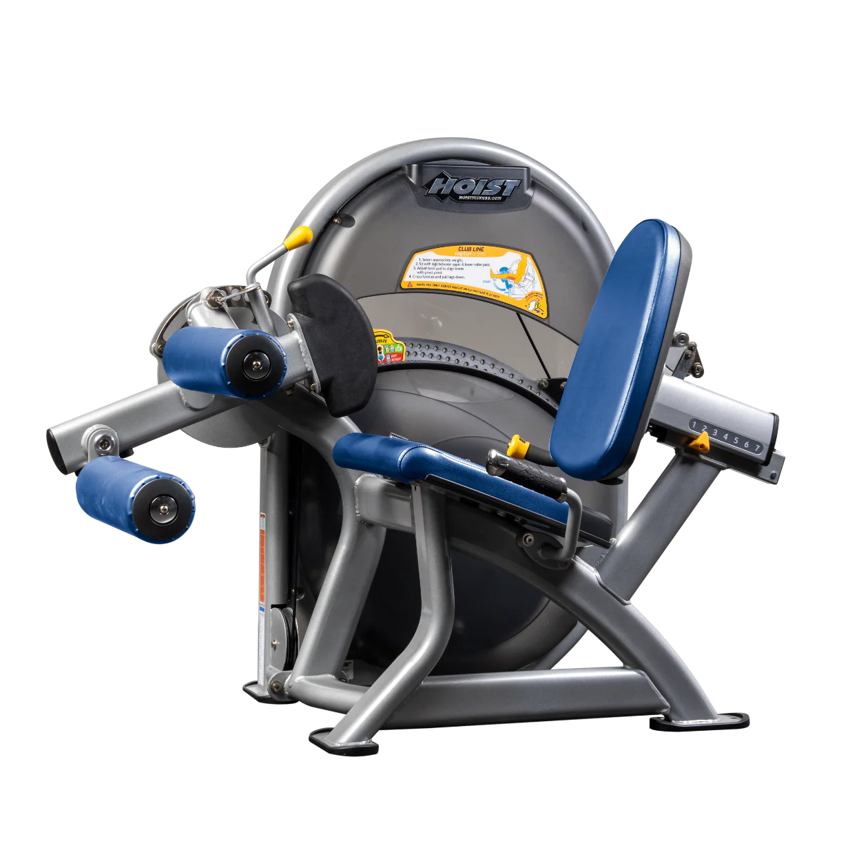 Leg Curl - Image 37