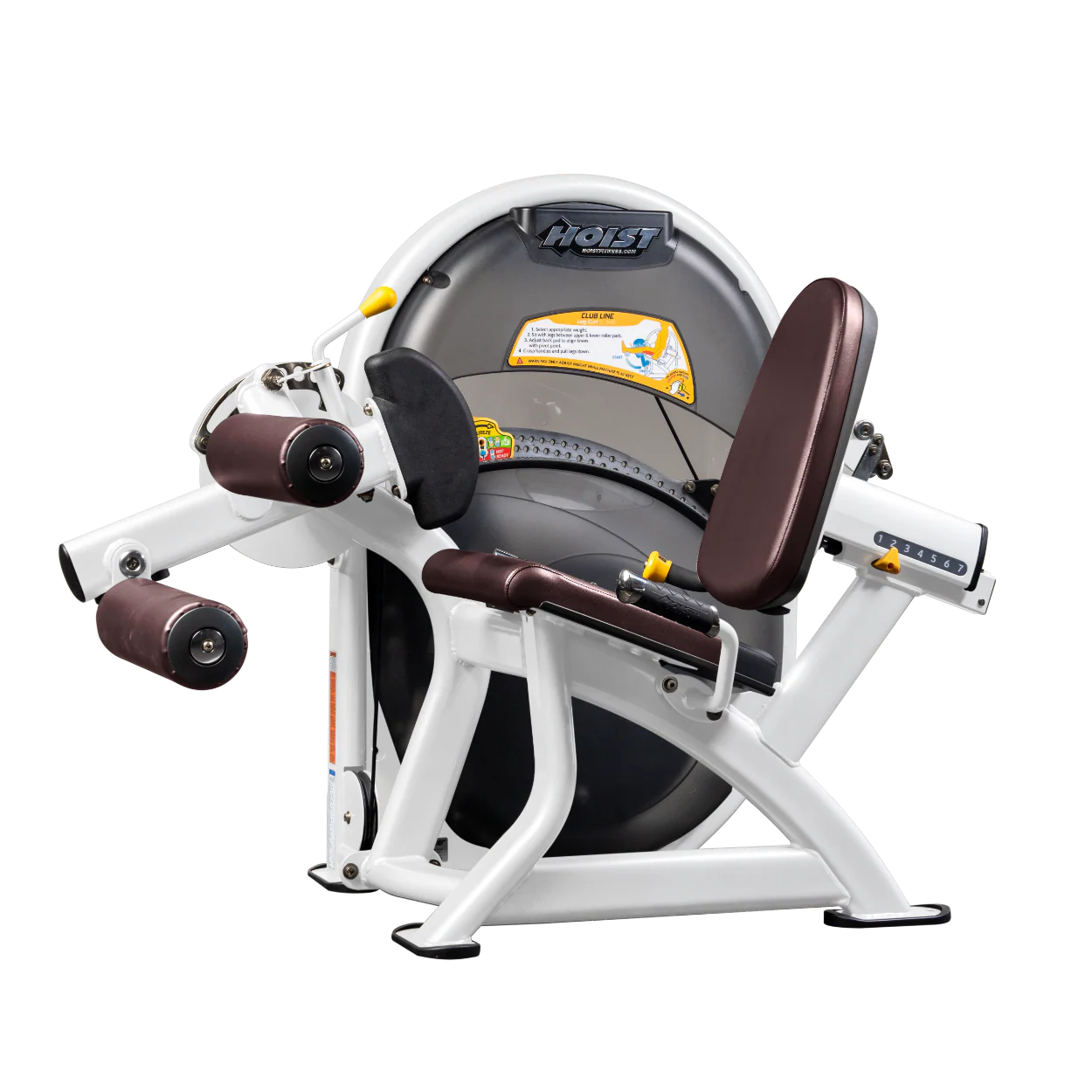 Leg Curl - Image 71