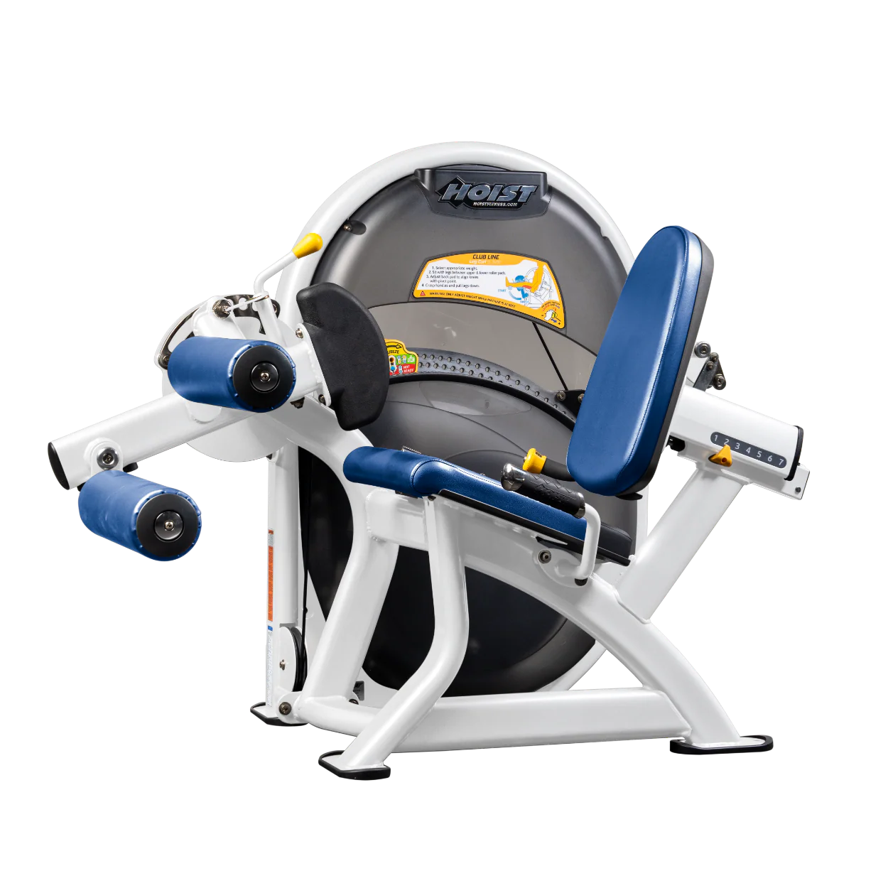Leg Curl - Image 75