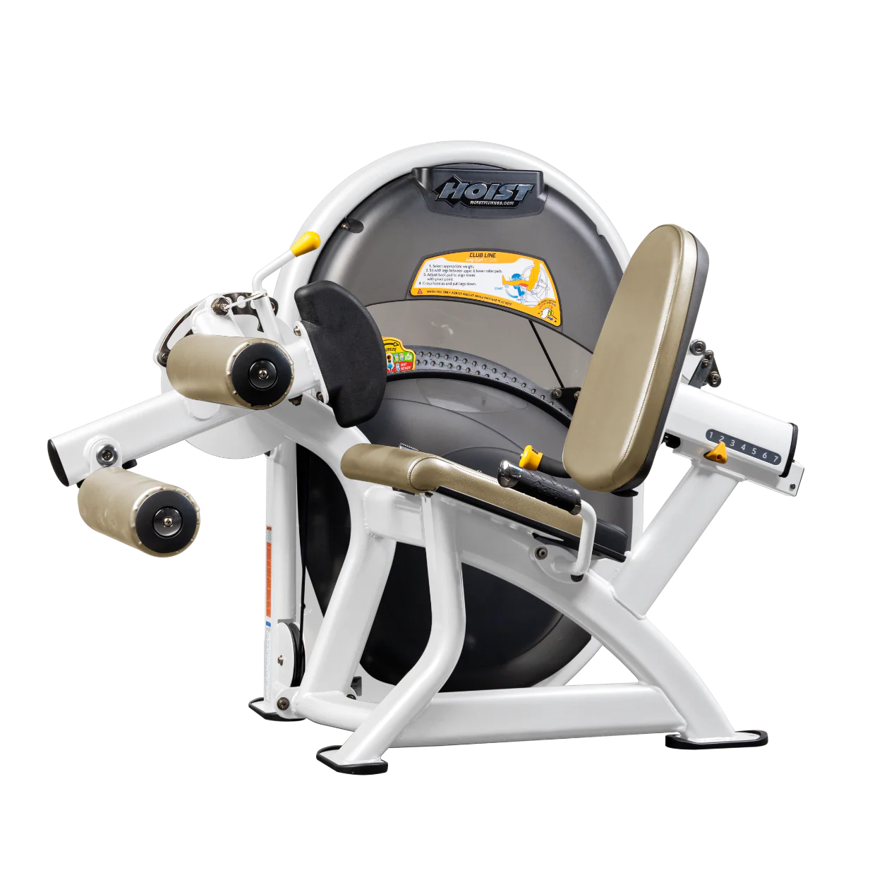 Leg Curl - Image 90