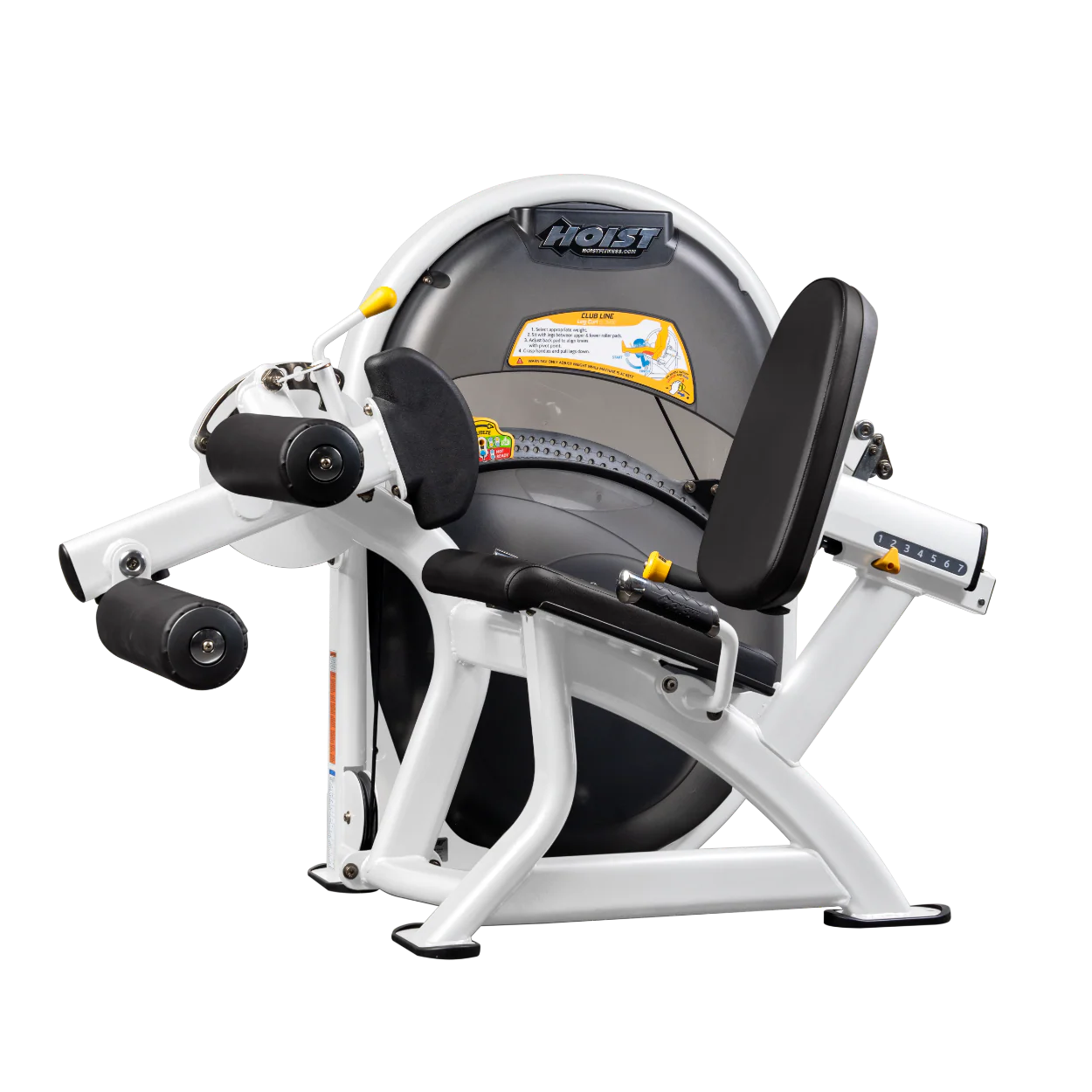 Leg Curl - Image 91