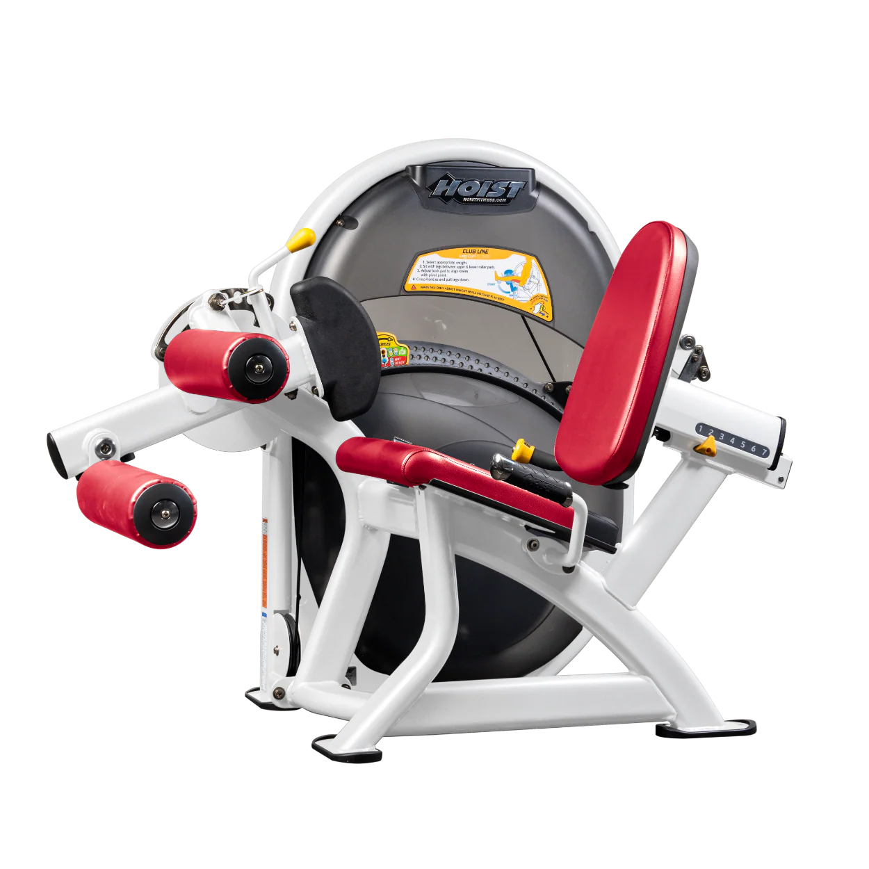 Leg Curl - Image 95