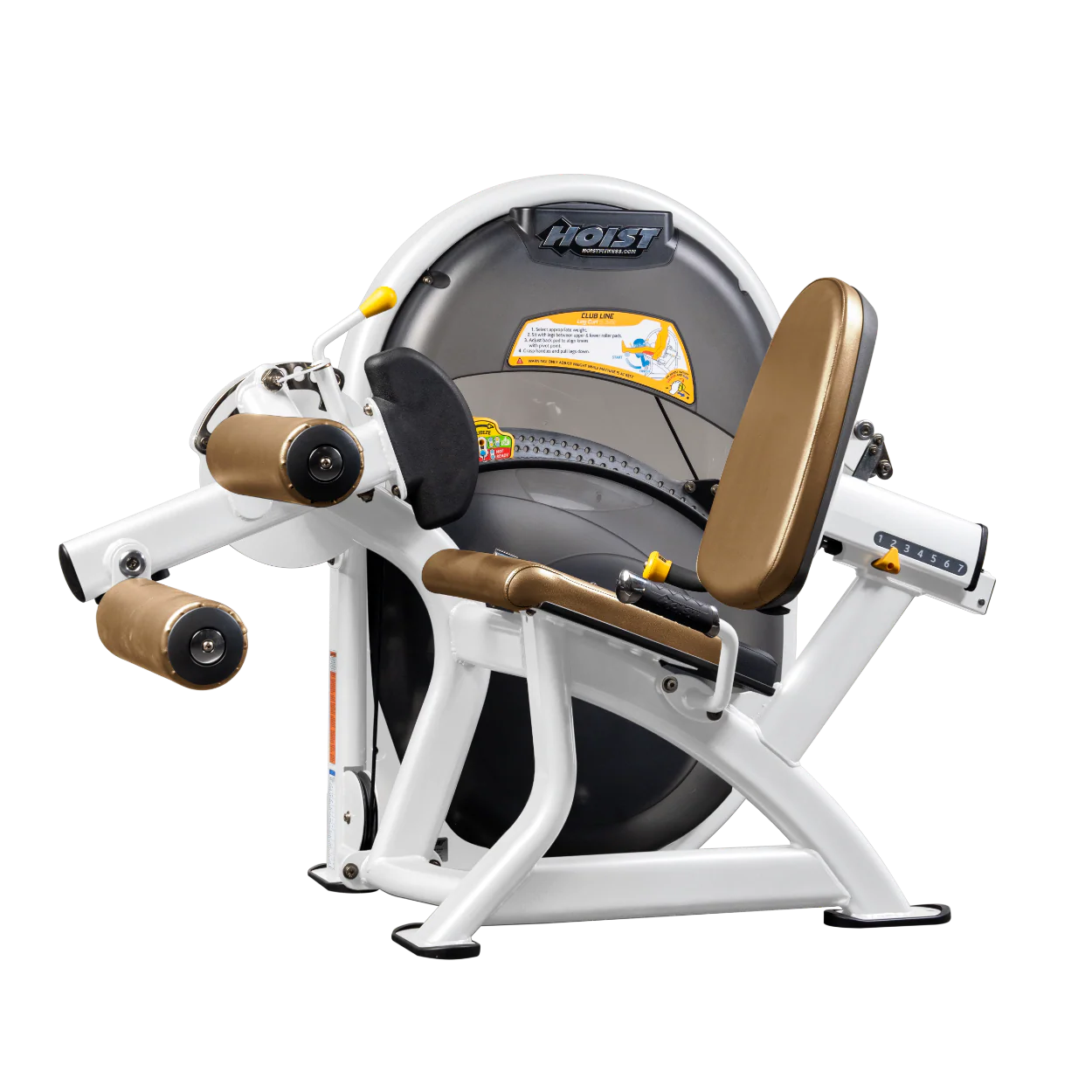 Leg Curl - Image 96