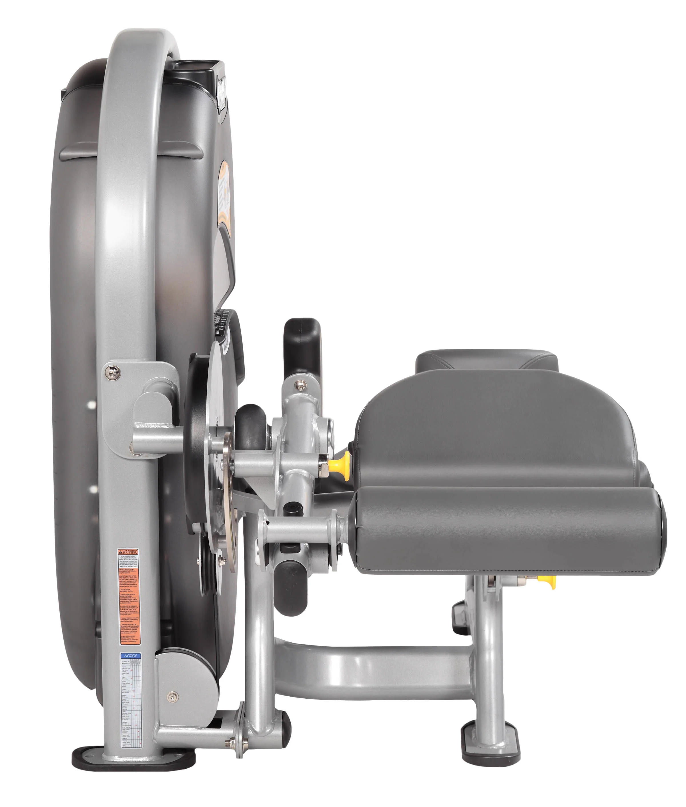 Standing / Prone Leg Curl - Image 5