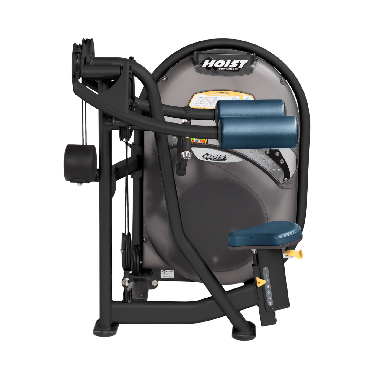 Lateral Raise - Image 19
