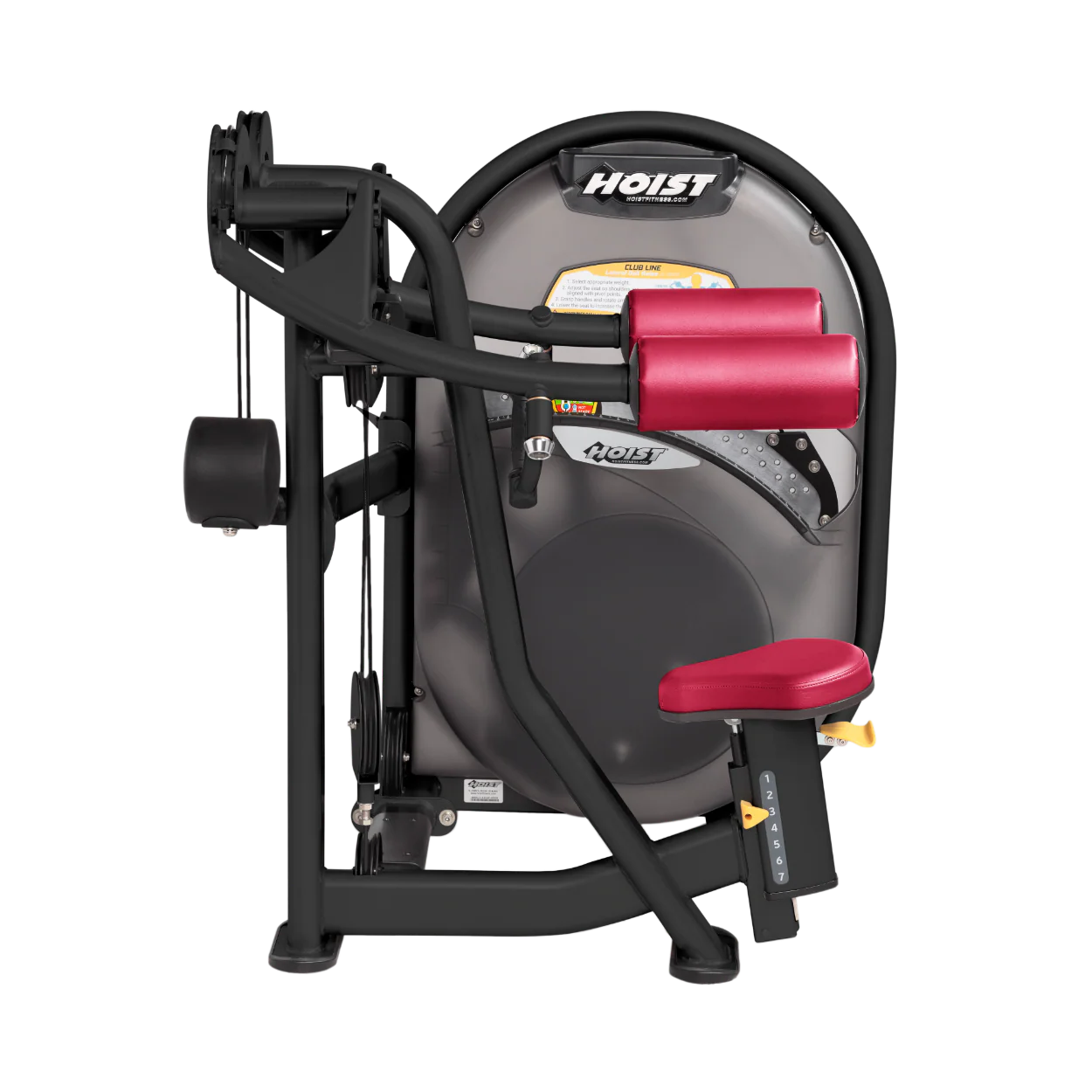 Lateral Raise - Image 26