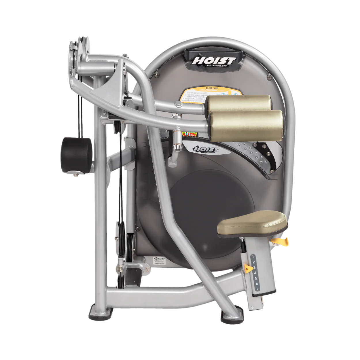 Lateral Raise - Image 33