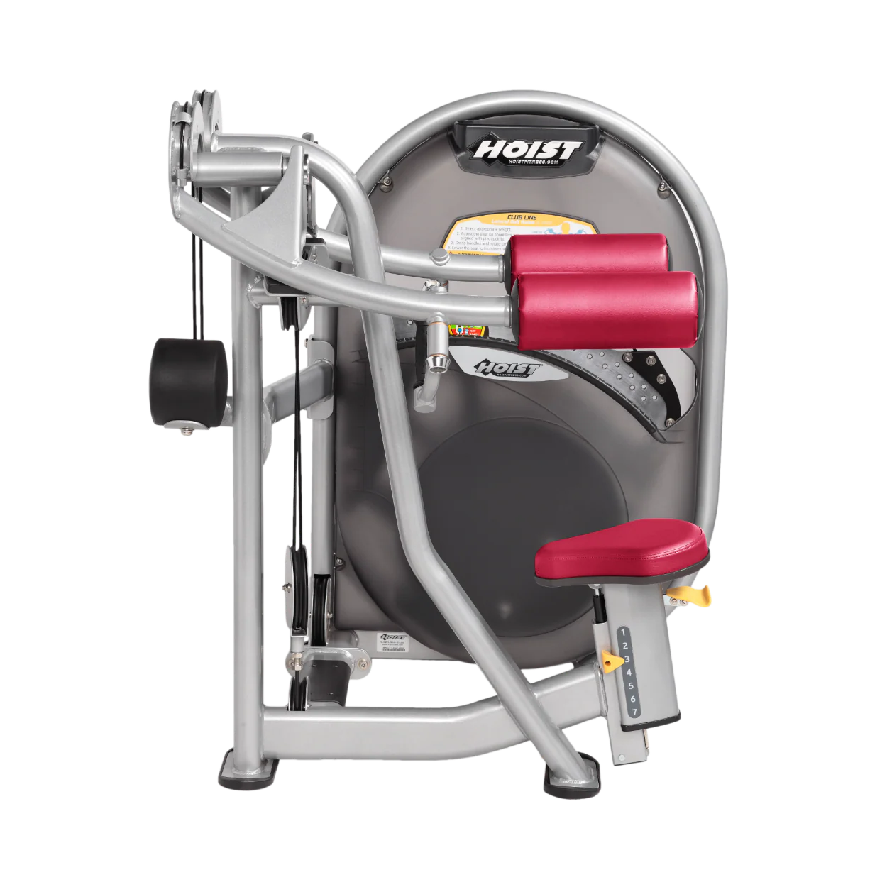 Lateral Raise - Image 38