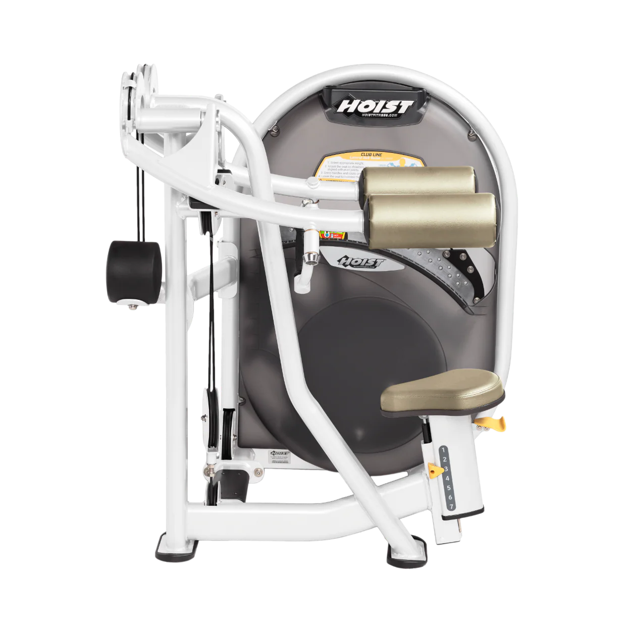 Lateral Raise - Image 45