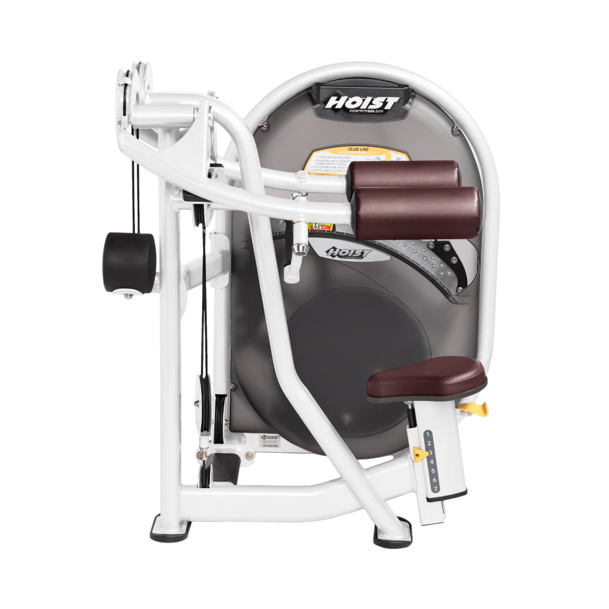 Lateral Raise - Image 49