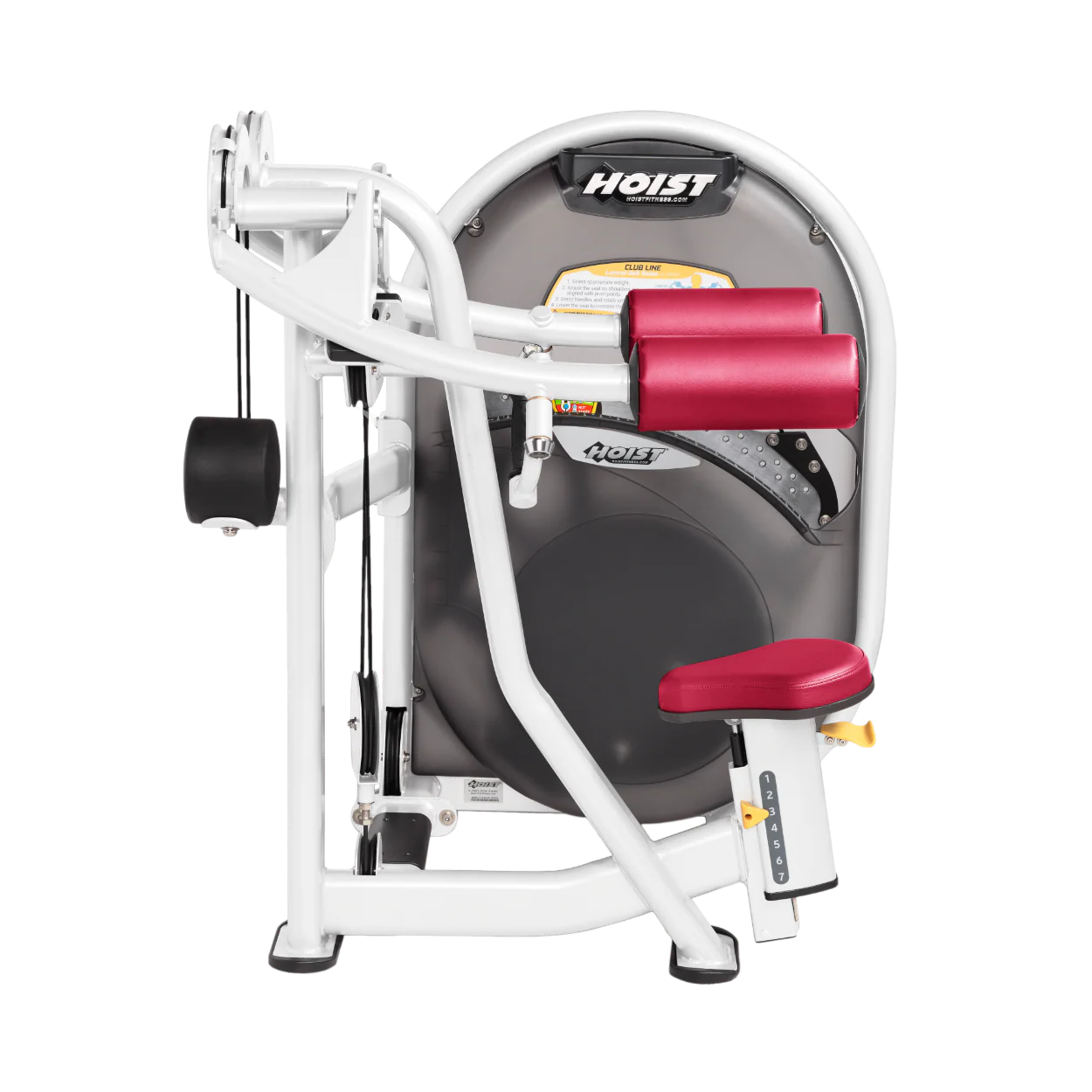 Lateral Raise - Image 50
