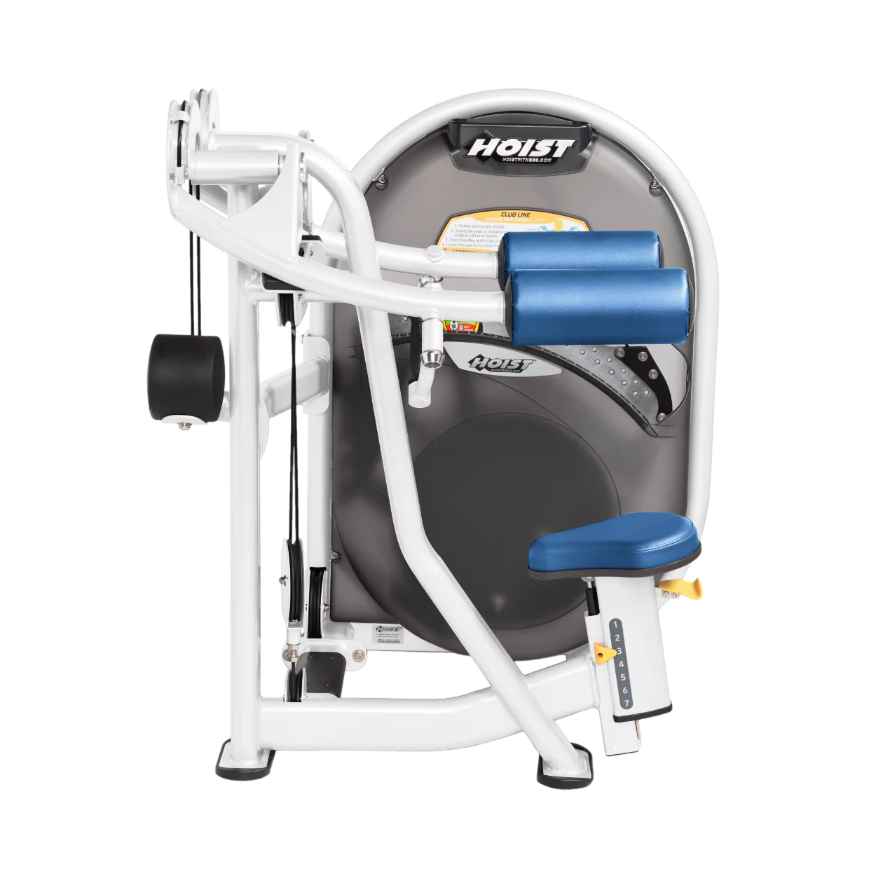 Lateral Raise - Image 53