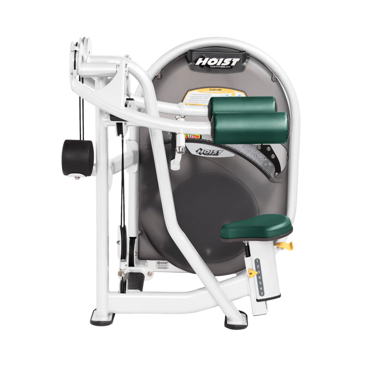Lateral Raise - Image 56