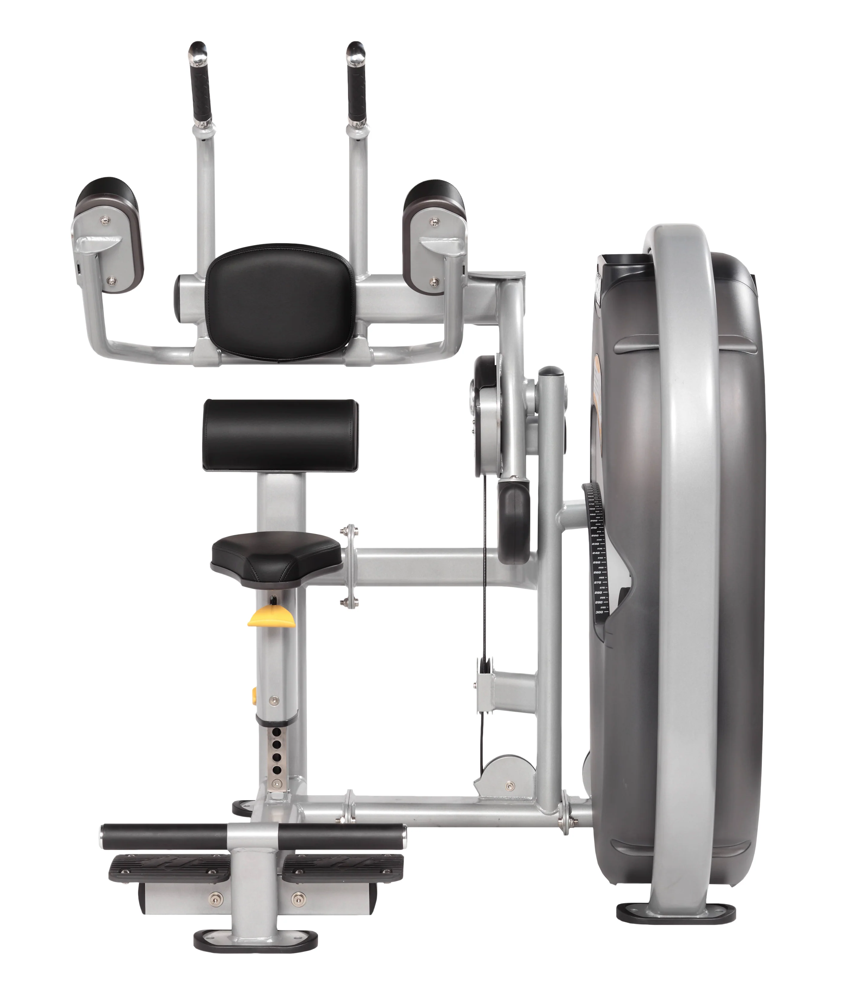 Abdominals - Image 5