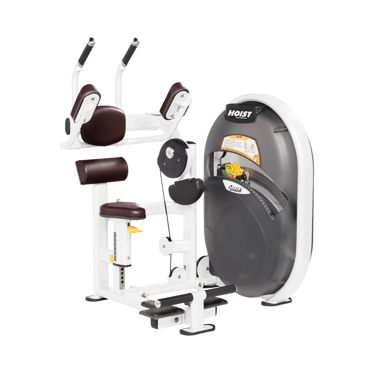 Abdominals - Image 61