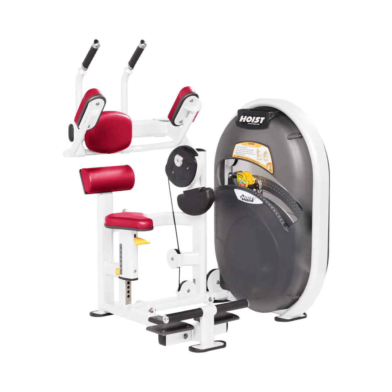 Abdominals - Image 62