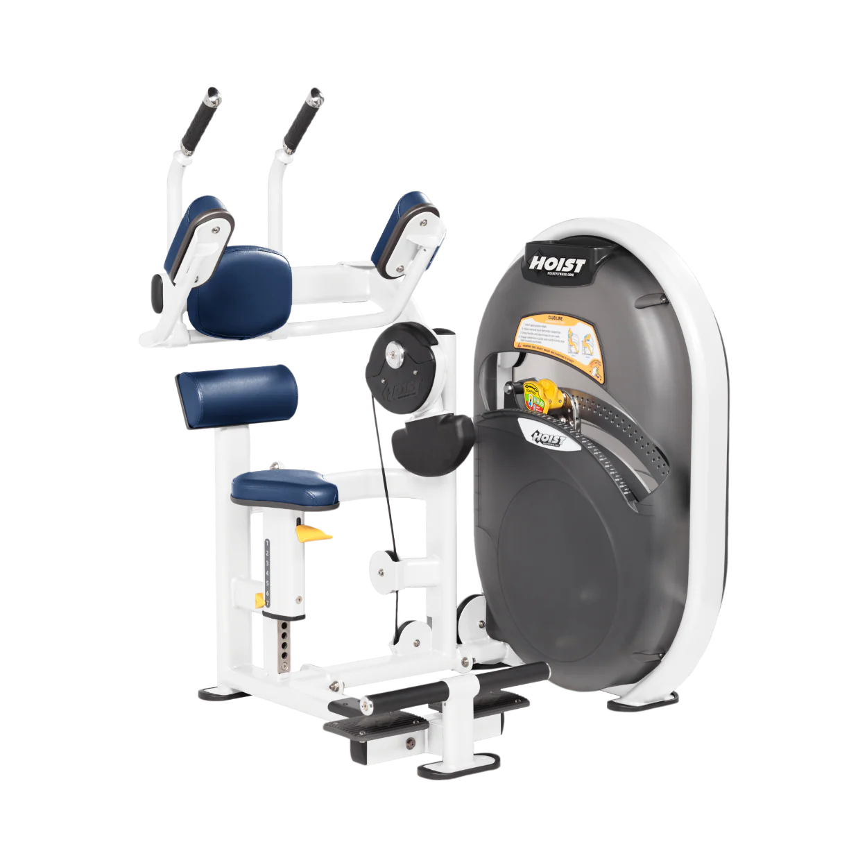 Abdominals - Image 66