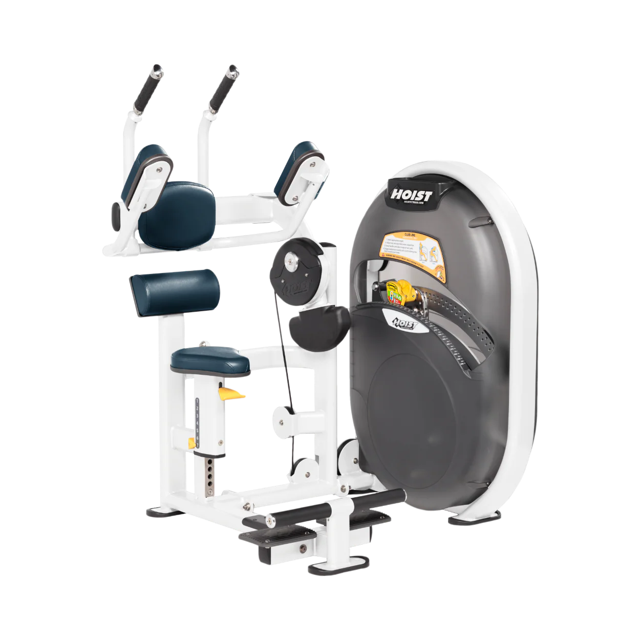 Abdominals - Image 67