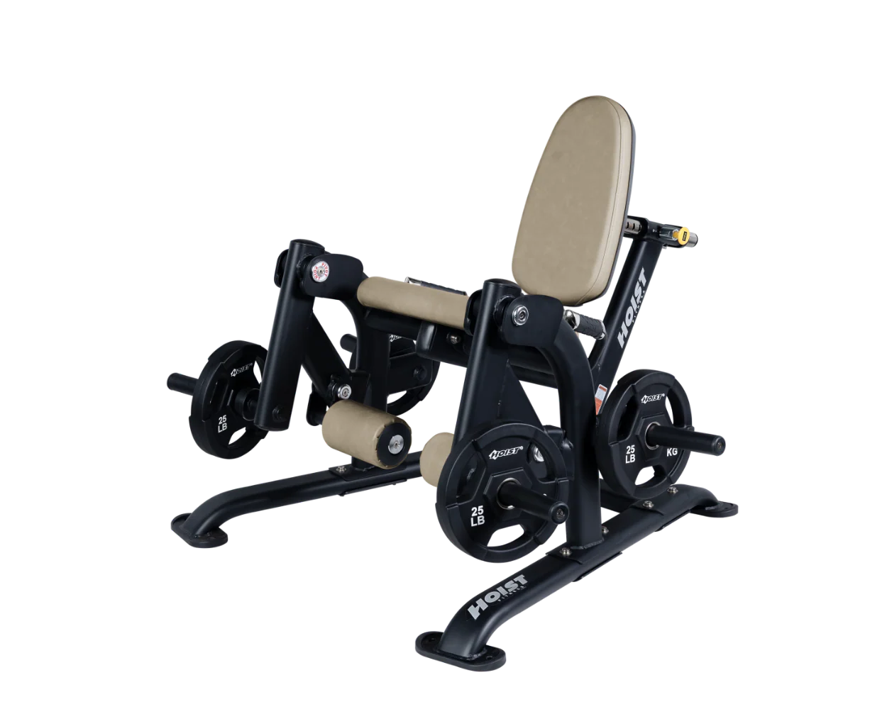 Leg Extension