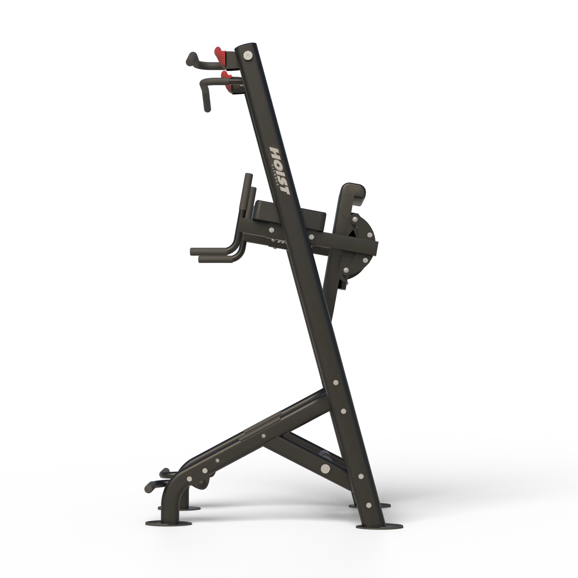 Fitness Tree - Image 5