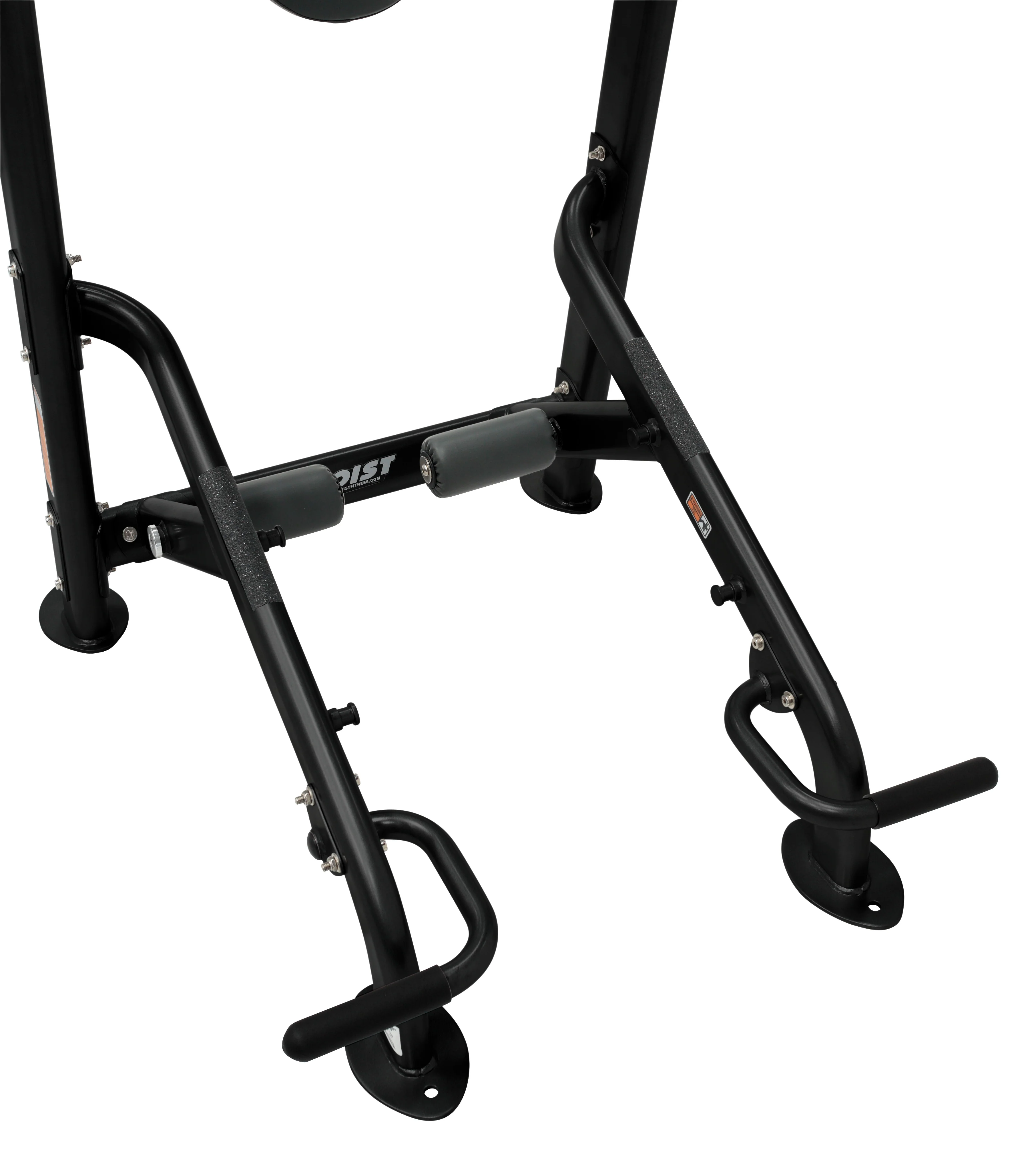 Fitness Tree - Image 6