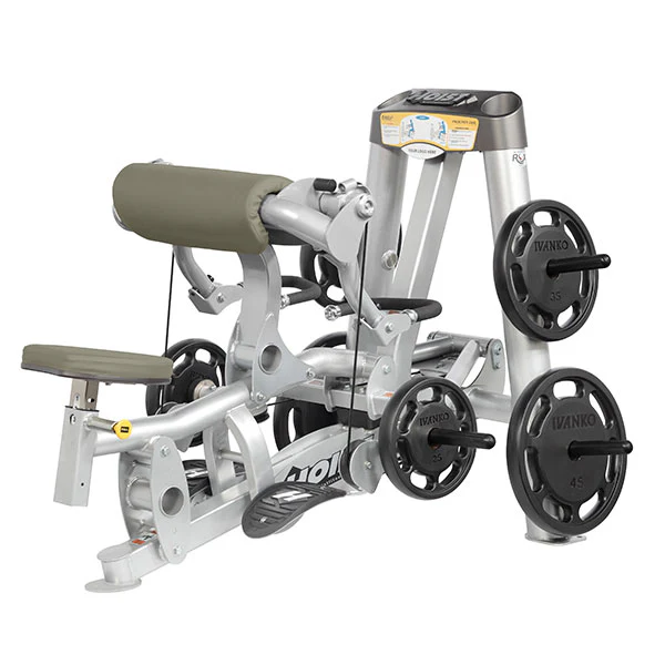 Biceps Curl - Image 10