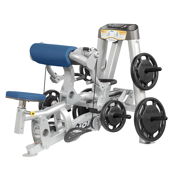 Biceps Curl - Image 12