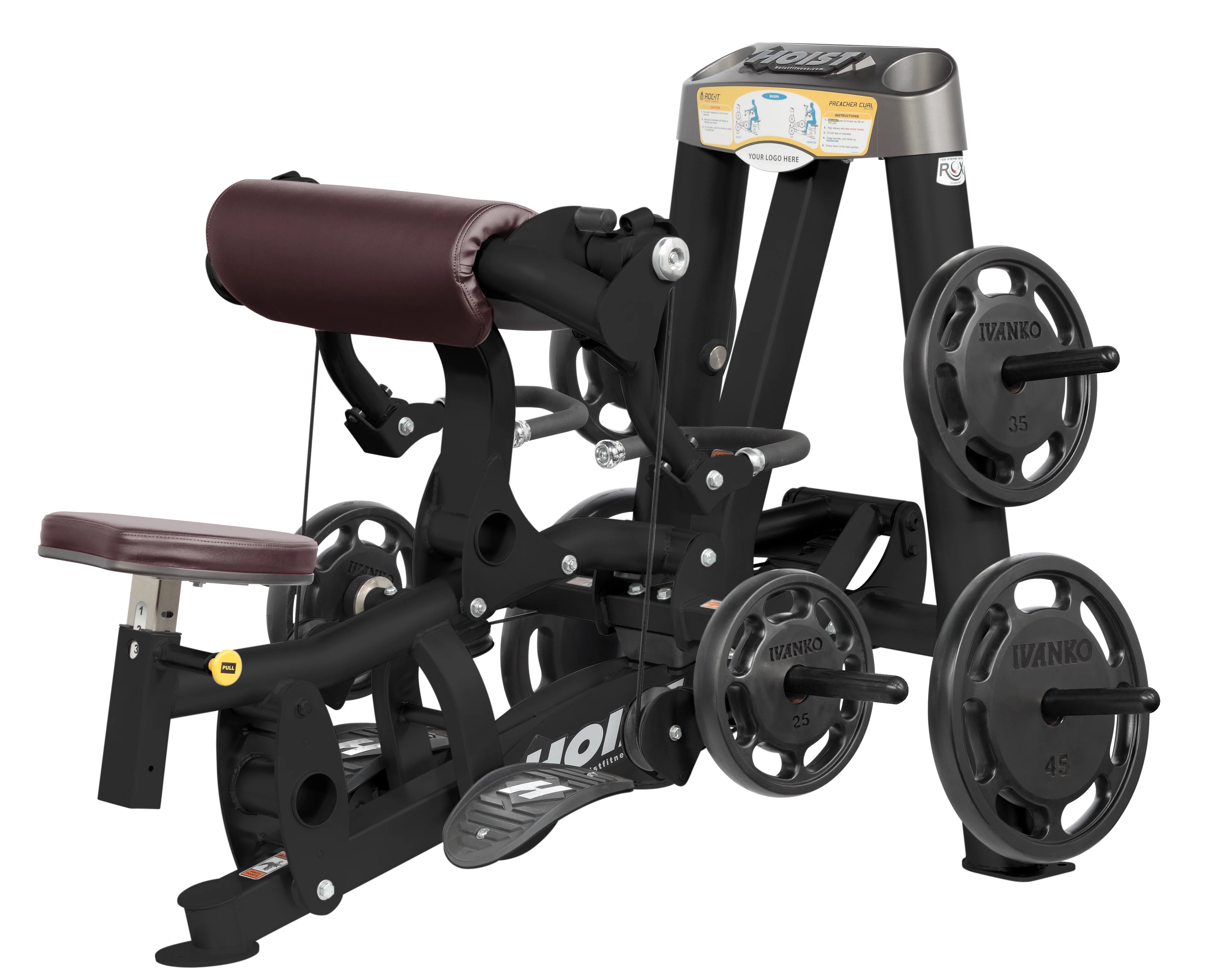 Biceps Curl - Image 19