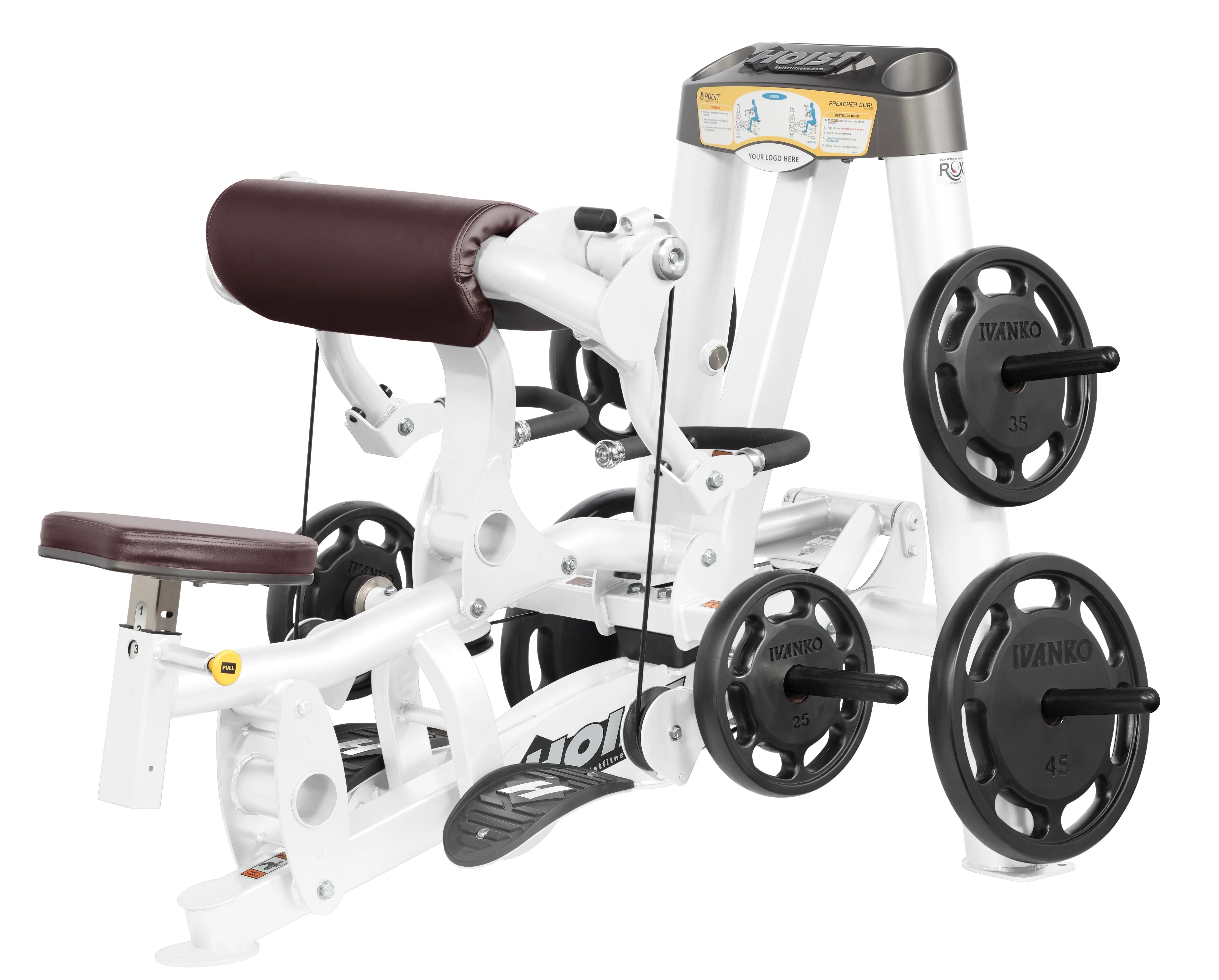 Biceps Curl - Image 30