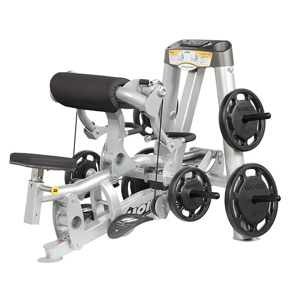 Biceps Curl - Image 4