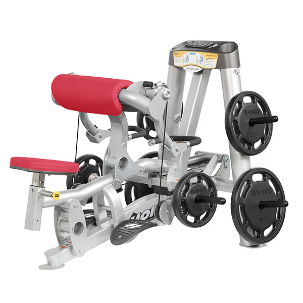 Biceps Curl - Image 5
