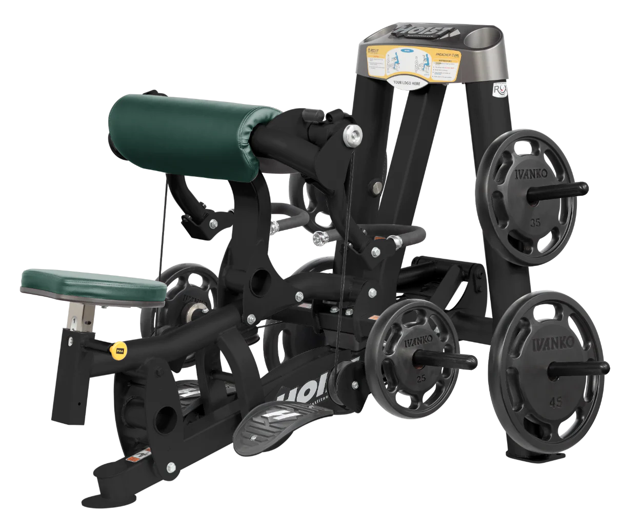 Biceps Curl - Image 50