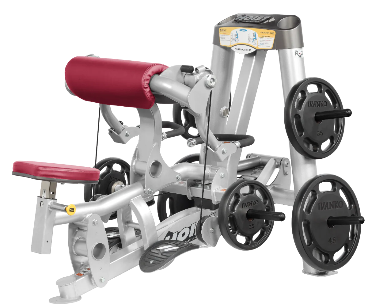 Biceps Curl - Image 53